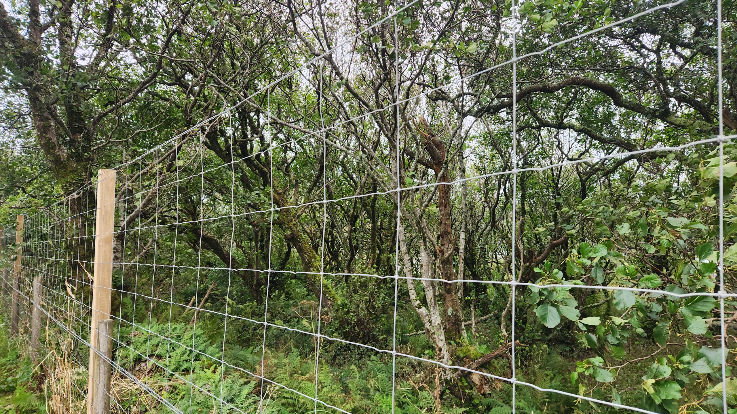 Isle of Skye Fencing, Isle of Skye Fencers, Skye Fencing Contractors, Highland Fencing Fencing Contractor, Isle of Skye Fencing Contractors, Deer Fencing Skye, Isle of Skye Deer Fencing, Highland Deer Fencing Contractors